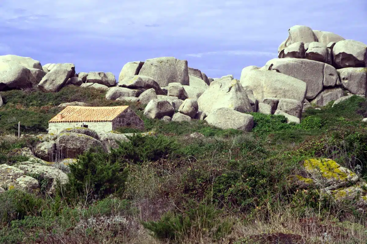 Location-bergerie-Corse